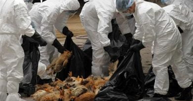 H5N1