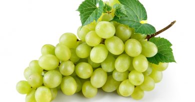العنب