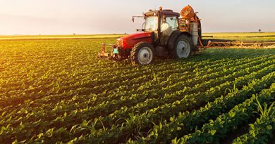 القطاع الفلاحي التونسي