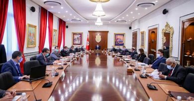 اللجنة العليا للإنتاج الخاص للكهرباء