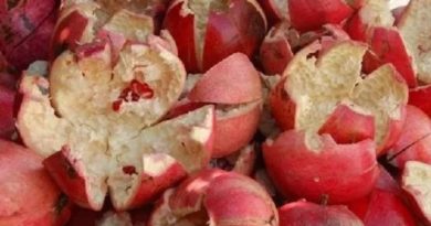 فوائد-قشر-الرمان