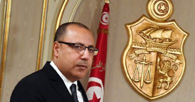 هشام المشيشي رئيس الحكومة