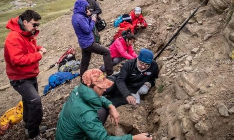 العثور على بقايا 4 أنواع من الديناصورات في تشيلي