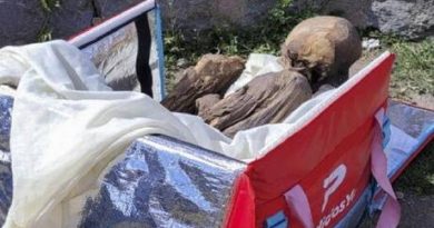 ضبط مومياء عمرها 8 قرون