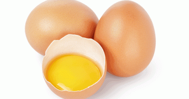 فوائد البيض
